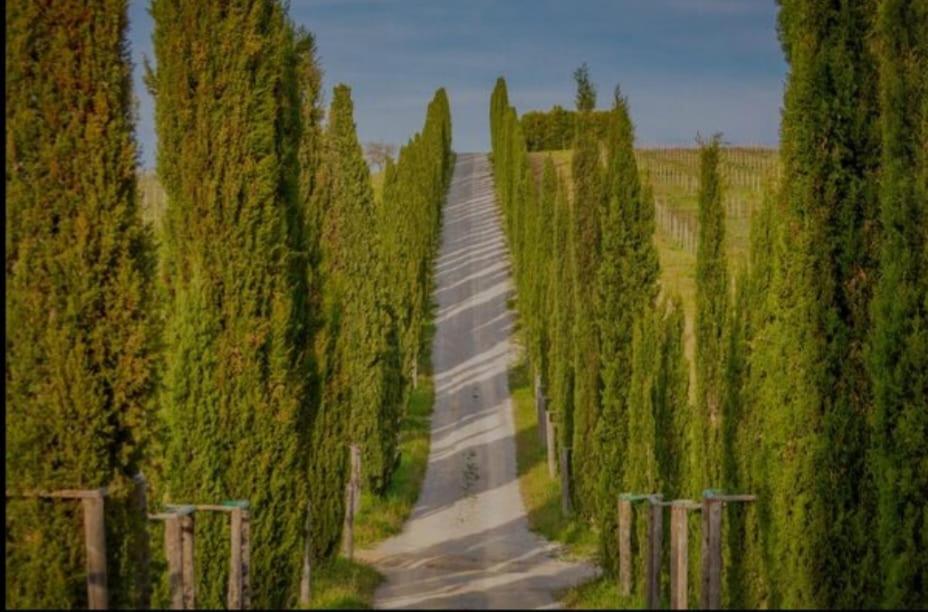 House With A View In Tuscany San Gusme Exterior photo