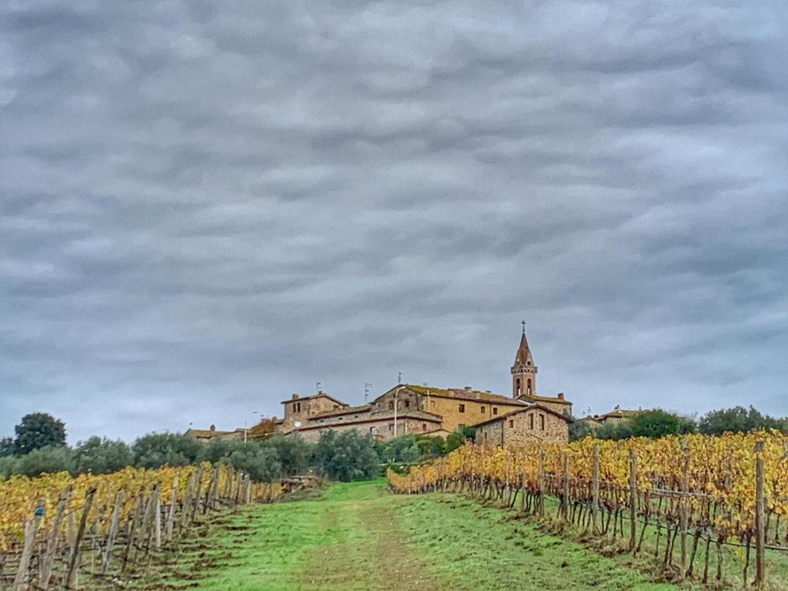 House With A View In Tuscany San Gusme Exterior photo