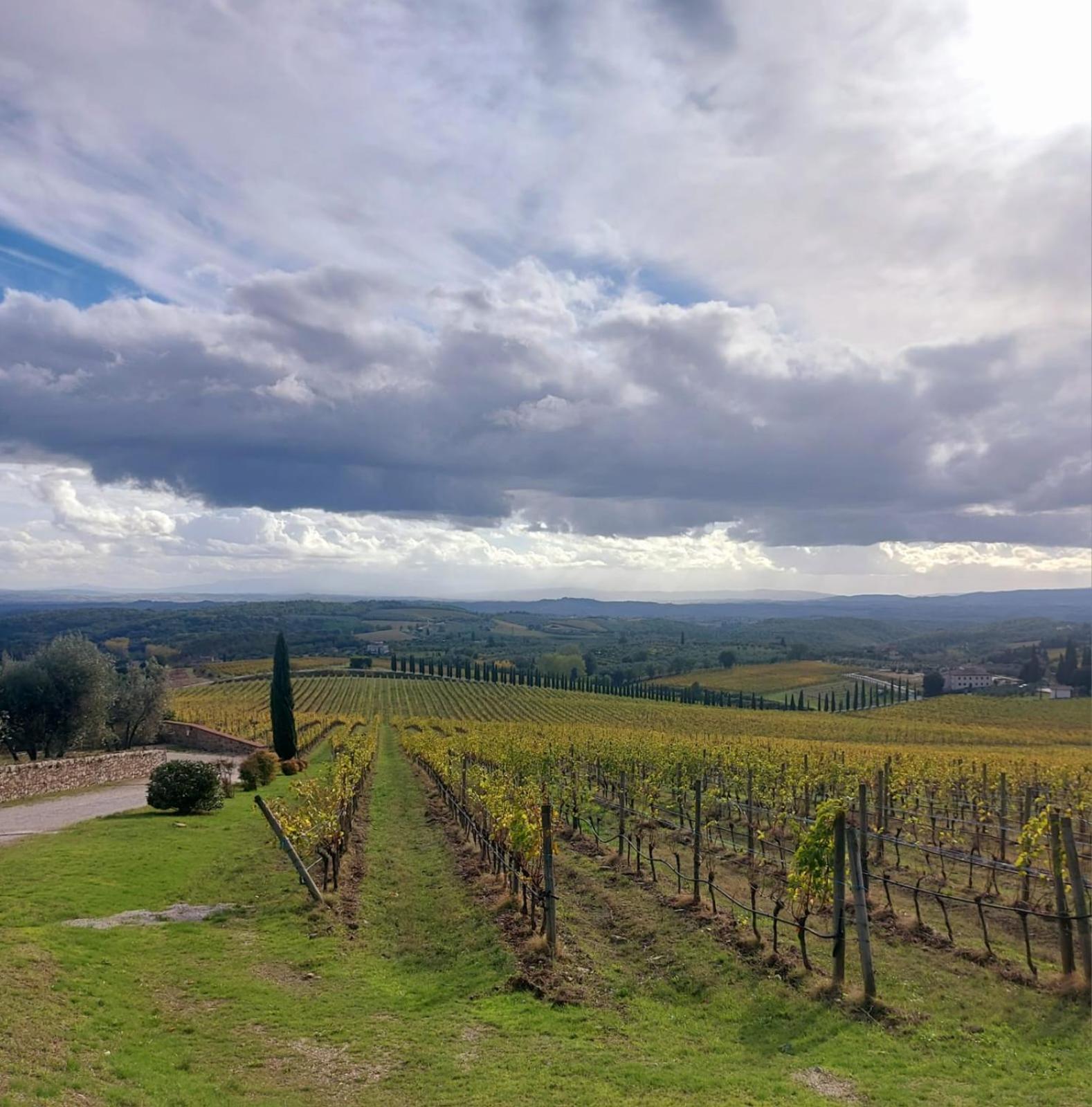 House With A View In Tuscany San Gusme Exterior photo