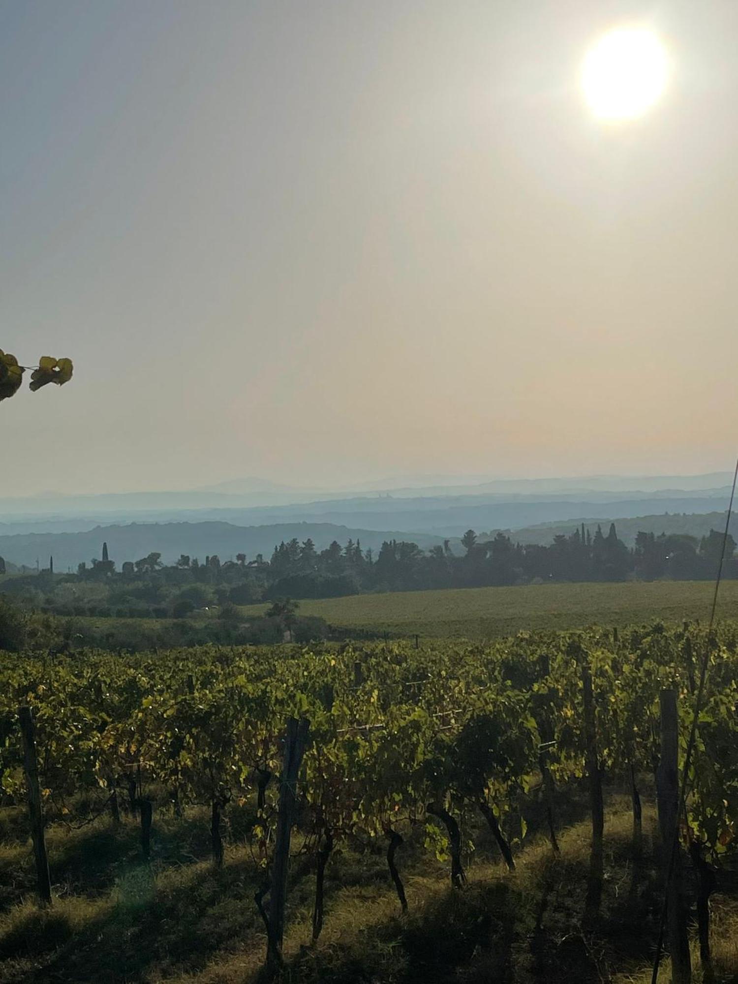 House With A View In Tuscany San Gusme Exterior photo