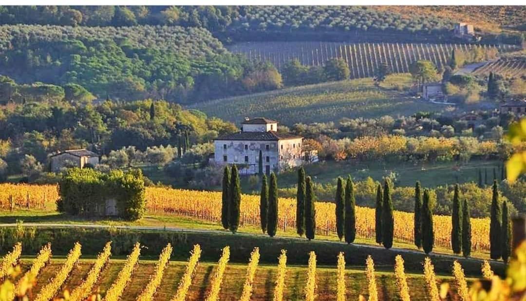 House With A View In Tuscany San Gusme Exterior photo