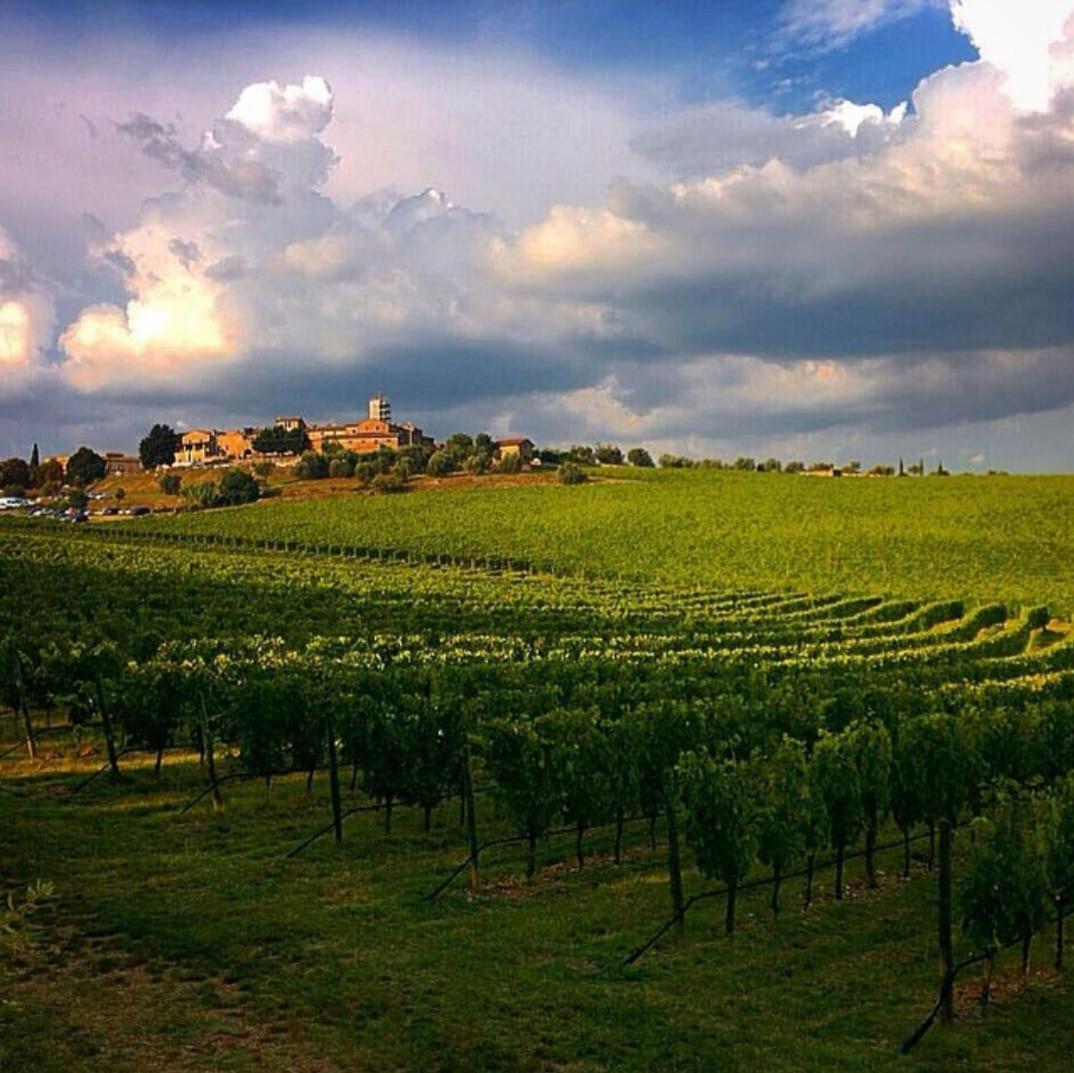 House With A View In Tuscany San Gusme Exterior photo